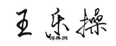 骆恒光王乐操行书个性签名怎么写