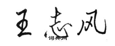 骆恒光王志风行书个性签名怎么写