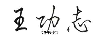 骆恒光王功志行书个性签名怎么写