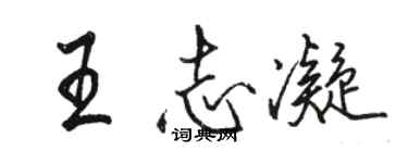 骆恒光王志凝行书个性签名怎么写