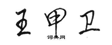 骆恒光王甲卫行书个性签名怎么写