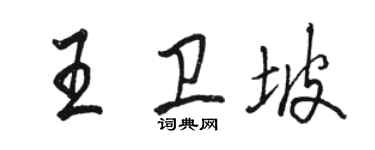 骆恒光王卫坡行书个性签名怎么写