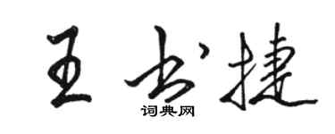 骆恒光王书捷行书个性签名怎么写