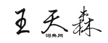骆恒光王天森行书个性签名怎么写