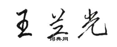 骆恒光王兰光行书个性签名怎么写