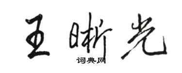 骆恒光王晰光行书个性签名怎么写