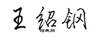 骆恒光王绍钢行书个性签名怎么写