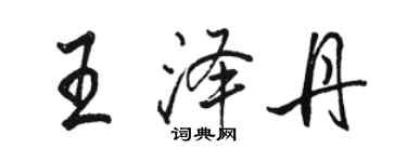 骆恒光王泽丹行书个性签名怎么写