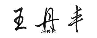骆恒光王丹丰行书个性签名怎么写