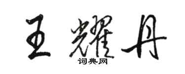 骆恒光王耀丹行书个性签名怎么写