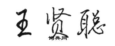 骆恒光王贤聪行书个性签名怎么写