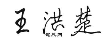骆恒光王洪楚行书个性签名怎么写