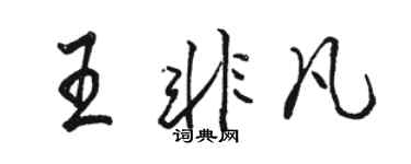 骆恒光王非凡行书个性签名怎么写