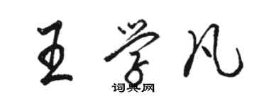 骆恒光王学凡行书个性签名怎么写