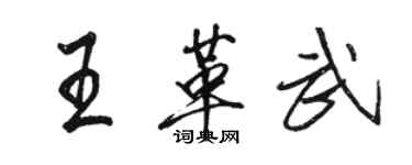 骆恒光王革武行书个性签名怎么写