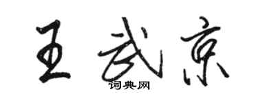 骆恒光王武京行书个性签名怎么写