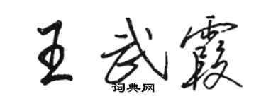 骆恒光王武霞行书个性签名怎么写