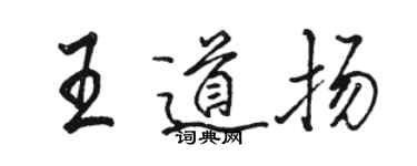 骆恒光王道扬行书个性签名怎么写