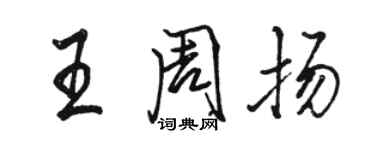 骆恒光王周扬行书个性签名怎么写