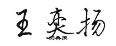骆恒光王奕扬行书个性签名怎么写