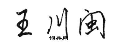 骆恒光王川闽行书个性签名怎么写