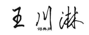 骆恒光王川淋行书个性签名怎么写