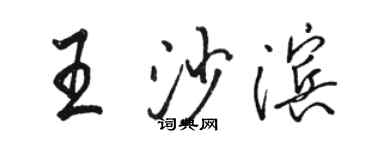 骆恒光王沙滨行书个性签名怎么写