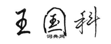 骆恒光王国科行书个性签名怎么写