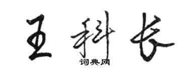 骆恒光王科长行书个性签名怎么写