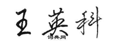 骆恒光王英科行书个性签名怎么写