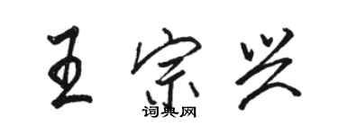 骆恒光王宗兴行书个性签名怎么写
