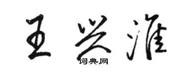 骆恒光王兴淮行书个性签名怎么写