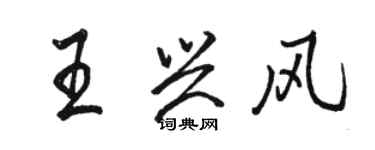 骆恒光王兴风行书个性签名怎么写