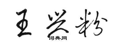 骆恒光王兴粉行书个性签名怎么写