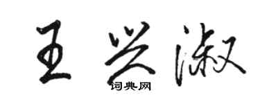 骆恒光王兴淑行书个性签名怎么写