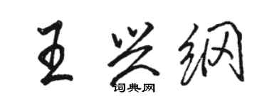 骆恒光王兴纲行书个性签名怎么写