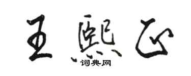 骆恒光王熙正行书个性签名怎么写