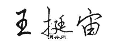 骆恒光王挺宙行书个性签名怎么写