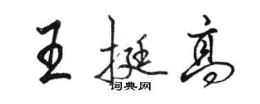 骆恒光王挺高行书个性签名怎么写