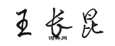 骆恒光王长昆行书个性签名怎么写