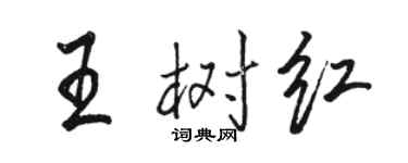 骆恒光王树红行书个性签名怎么写