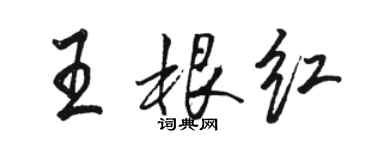 骆恒光王根红行书个性签名怎么写