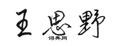 骆恒光王思野行书个性签名怎么写