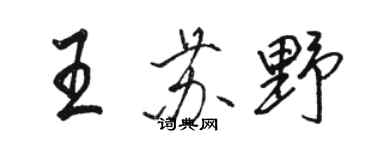 骆恒光王苏野行书个性签名怎么写