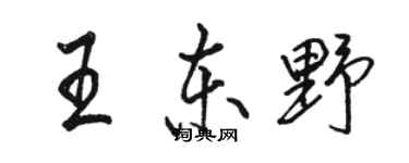 骆恒光王东野行书个性签名怎么写