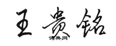 骆恒光王贵铭行书个性签名怎么写