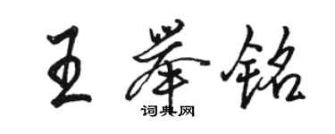 骆恒光王举铭行书个性签名怎么写