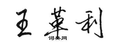 骆恒光王革利行书个性签名怎么写