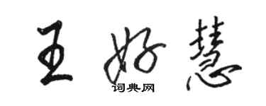 骆恒光王好慧行书个性签名怎么写