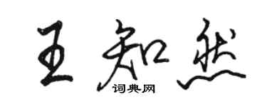 骆恒光王知然行书个性签名怎么写